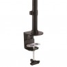 StarTech.com Dual Monitor Desk Mount - Vertical | StarTech.com Flat Panel Desk Mounts