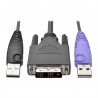 Tripp Lite NetDirector DVI USB Server Interface Unit with Virtual Media and CAC Support (B064-IPG Series), USB and DVI | Tripp L