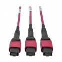 Tripp Lite 50/125 Breakout Fiber Patch Panel, 40 GB to 10 GB, 15 MTP QSFP to 60 LC Duplex OM4 Multimode Ports, 1U