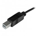 StarTech.com USB-C to USB-B Cable - M/M - 2 m (6 ft.) - USB 2.0