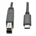Tripp Lite USB 3.1 Gen 2 (10 Gbps) Cable, USB Type-C (USB-C) to USB 3.0 Type-B (M/M), 0.91 m
