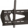 StarTech.com FPWTLTBAT | StarTech.com Flat Panel Wall Mounts