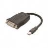 AMD 6x MiniDP/DVI Mini DP M DVI FM Black cable interface/gender adapter