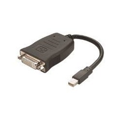 AMD 6x MiniDP/DVI Mini DP M DVI FM Black cable interface/gender adapter