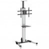 StarTech.com TV Cart - For 32" to 70" TVs - One-Touch Height Adjustment