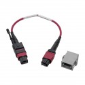 Tripp Lite MTP/MPO Parallel Optics Base-8 Migration Fiber Adapter, Polarity C to B, 12 Fiber, 40 GbE, OM4 M/F, Magenta, 20.32 cm