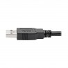 Tripp Lite USB 3.0 SuperSpeed A/A Cable for USB 3.0 All-in-One Keystone/Panel Mount Couplers (M/M), Black, 1.83 m