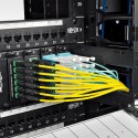 Tripp Lite MTP/MPO (APC) Singlemode Patch Cable (F/F), 12 Fiber, 40/100 GbE, QSFP+ 40GBASE-PLR4, Plenum, Push/Pull Tab, Yellow, 
