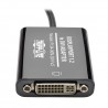 Tripp Lite P134-06N-DVI-V2 Display Port DVI-I Black cable interface/gender adapter