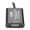Tripp Lite P134-06N-VGA-V2 Display Port VGA (HD15) Black cable interface/gender adapter