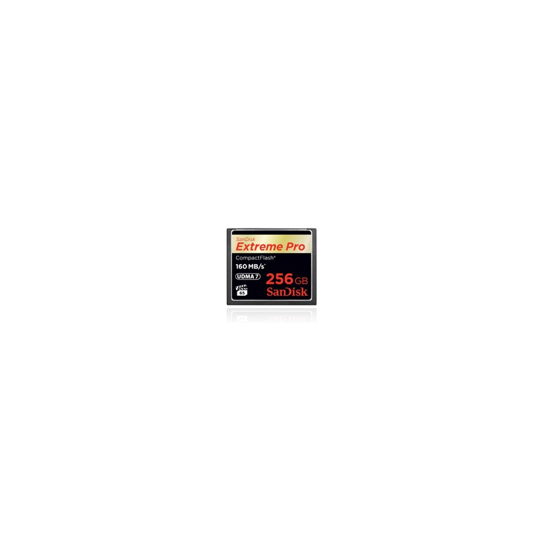 Sandisk Extreme PRO, 256GB