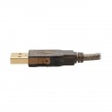 Tripp Lite USB 2.0 Hi-Speed Active Extension Cable (USB-A M/F) 7.6 m