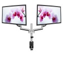 V7 Dual Touch Adjust Monitor Mount