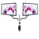 V7 Dual Touch Adjust Monitor Mount