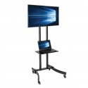 Tripp Lite Mobile Flat-Panel Floor Stand - 37” to 70” TVs and Monitors