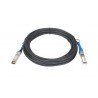 Netgear AXC7610 10m SFP+ SFP+ Black InfiniBand cable