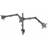 Manhattan 461658 flat panel desk mount 68.6 cm (27") Clamp Black