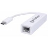 Manhattan 507585 networking card Ethernet 100 Mbit/s