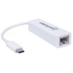 Manhattan 507585 networking card Ethernet 100 Mbit/s