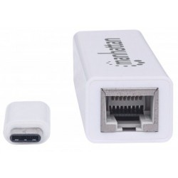 Manhattan 507585 networking card Ethernet 100 Mbit/s