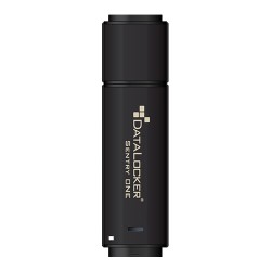 DataLocker Sentry ONE USB flash drive 64 GB 3.0 (3.1 Gen 1) USB Type-A connector Black