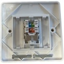 Cat6 FTP Faceplate back