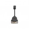 HP  DisplayPort to DVI-D Adapter