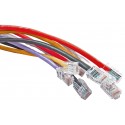 Custom Cat 6 UTP RJ45 Patch Leads