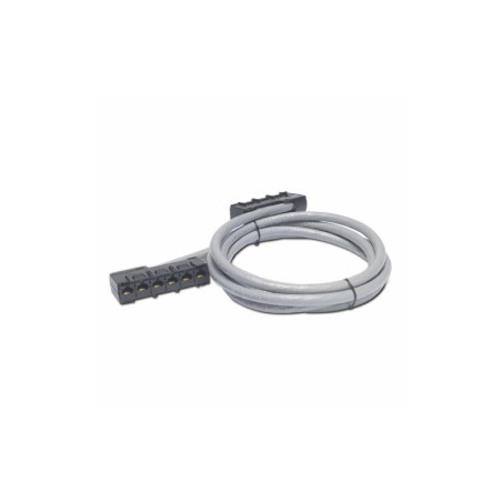APC  Data Distribution Cable CAT5e UTP CMR Gray 6xRJ45 Jack to 6xRJ45 Jack 25ft (76m)