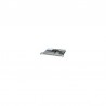 Cisco ASR 1000