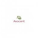Avocent RJ-45F to DB-9M crossover adapter