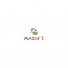 Avocent  RJ45F to DB-9M crossover adapter