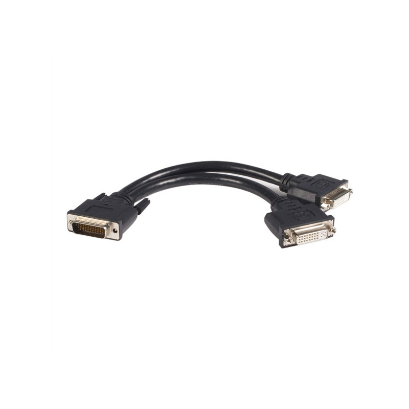 StarTech.com  8 inch DMS-59 to 2 DVI &amp;amp;quot;Y&amp;amp;quot; Cable