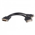 StarTech.com 8 inch DMS-59 to 2 DVI &amp;amp;quot;Y&amp;amp;quot; Cable