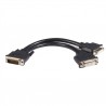 StarTech.com  8 inch DMS-59 to 2 DVI &amp;amp;quot;Y&amp;amp;quot; Cable