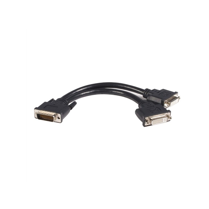 StarTech.com 8 inch DMS-59 to 2 DVI &amp;amp;quot;Y&amp;amp;quot; Cable