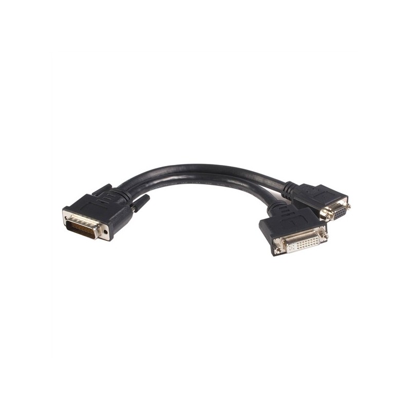 StarTech.com 8 inch DMS-59 - DVI &amp;amp;amp; VGA &amp;amp;quot;Y&amp;amp;quot; Cable