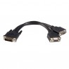 StarTech.com  8 inch DMS-59 - 2 VGA &amp;amp;quot;Y&amp;amp;quot; Cable