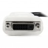 StarTech.com  DisplayPort to DVI Video Adapter Converter