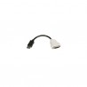 StarTech.com  DisplayPort to DVI Video Adapter Converter