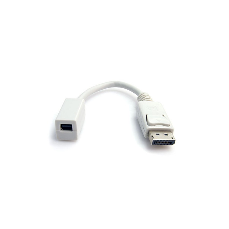 StarTech.com  DP/Mini DP Adapter