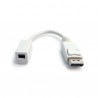 StarTech.com  DP/Mini DP Adapter