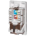 Cat5e Shielded RJ45 Modules - Euromod Size