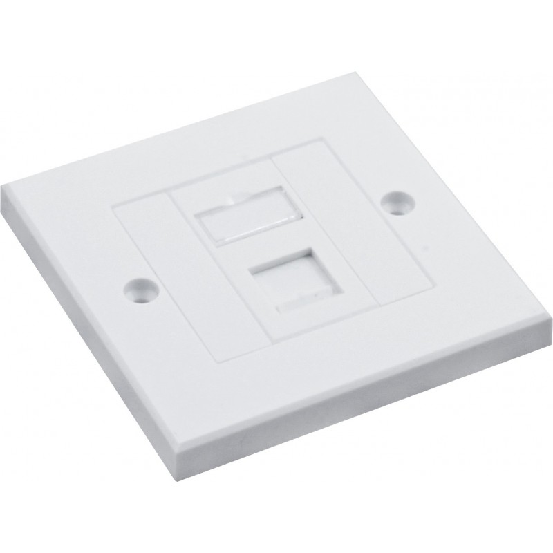 Cat5e UTP RJ45 Loaded Faceplates