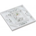 Cat5e UTP RJ45 Loaded Faceplates