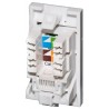 Cat6 UTP RJ45 Module - Euromod Size