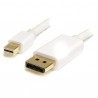StarTech.com  1m Mini DisplayPort&reg; to DisplayPort - M/M