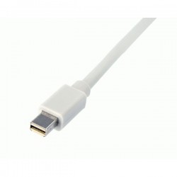 StarTech.com Mini DisplayPort to DisplayPort Adapter Cable - Video / audio cable - mini-DisplayPort (M) - DisplayP