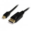 StarTech.com Mini DisplayPort to DisplayPort Adapter Cable - Video / audio cable - mini-DisplayPort (M) - DisplayP