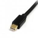 StarTech.com Mini DisplayPort to DisplayPort Adapter Cable - Video / audio cable - mini-DisplayPort (M) - DisplayP